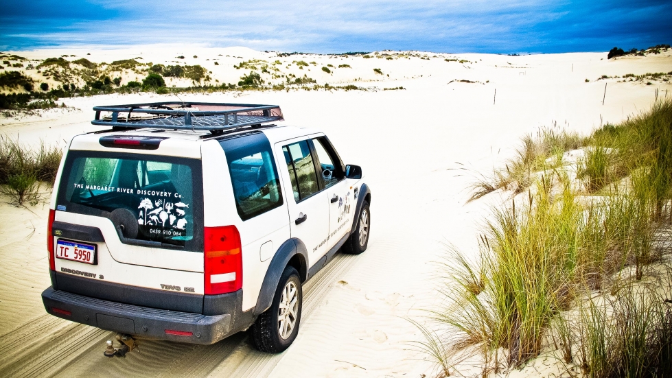 Yeagarup Dunes