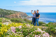 Margaret-River-Discovery-Co-Spring-time-among-the-wildflowers-on-the-Cape-to-Cape-Track