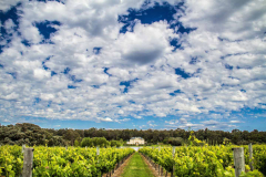 Margaret-River-Discovery-Tour-at-Fraser-Gallop-Estate