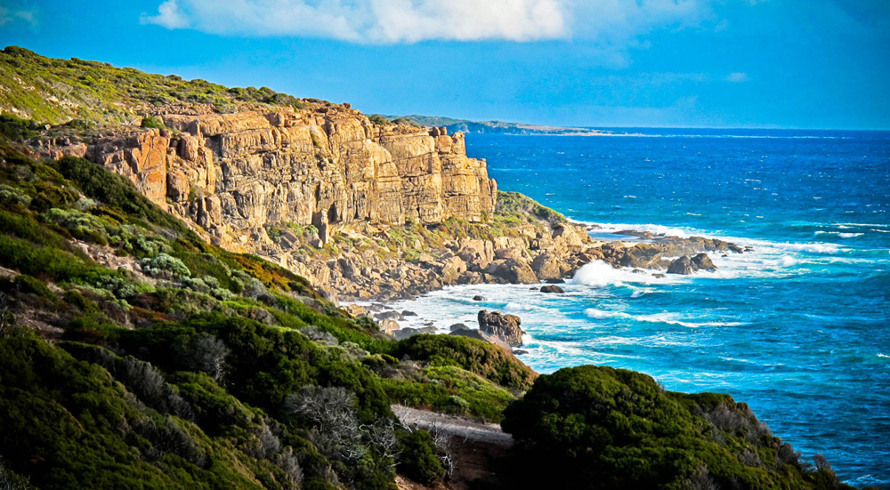 The Cape to Cape Track Mick Demspeys Office
