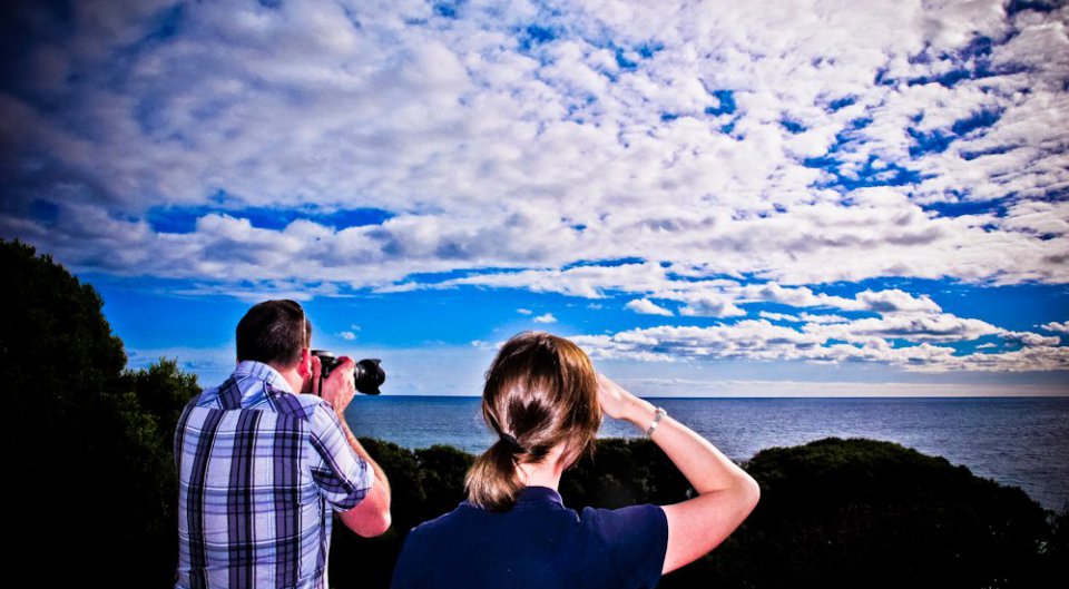 Alert! Whales Spotted off Margaret River