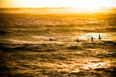 Margaret River Picture of The Day March 2012