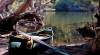 Perfect Day for a Paddle
