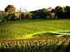 Spring 2012