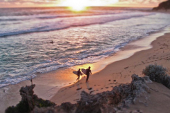 Margaret River Picture of The Day February 2012