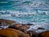 Its Wild and Woolly Out There