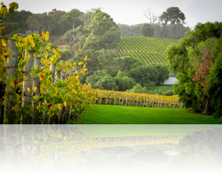 Brookland Valley Estate in Winter