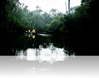 Canoeing Margaret River Early Morning Tranquility