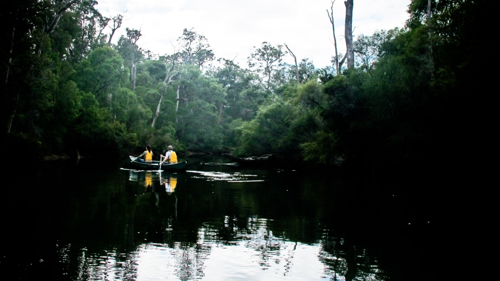 Canoeing Margaret River Early Morning Tranquility
