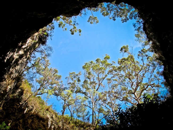 Mammoth Cave Doline