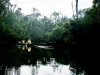 Canoeing Margaret River Early Morning Tranquility