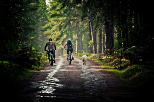 Things to do on a rainy day. Come ride the Margaret River trails.