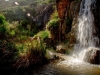 Secret waterfall in the Margaret River region