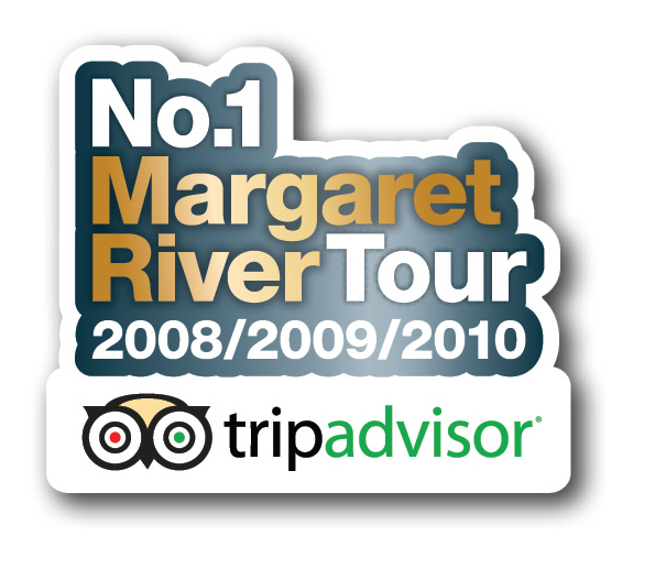 MRDC No1 MR Tour Trip Advisor Logo