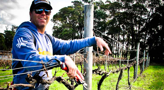 Margaret River Vineyards Winter 2011