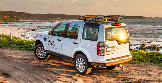 Personalised touring in a luxury Landrover 4WD Discovery
