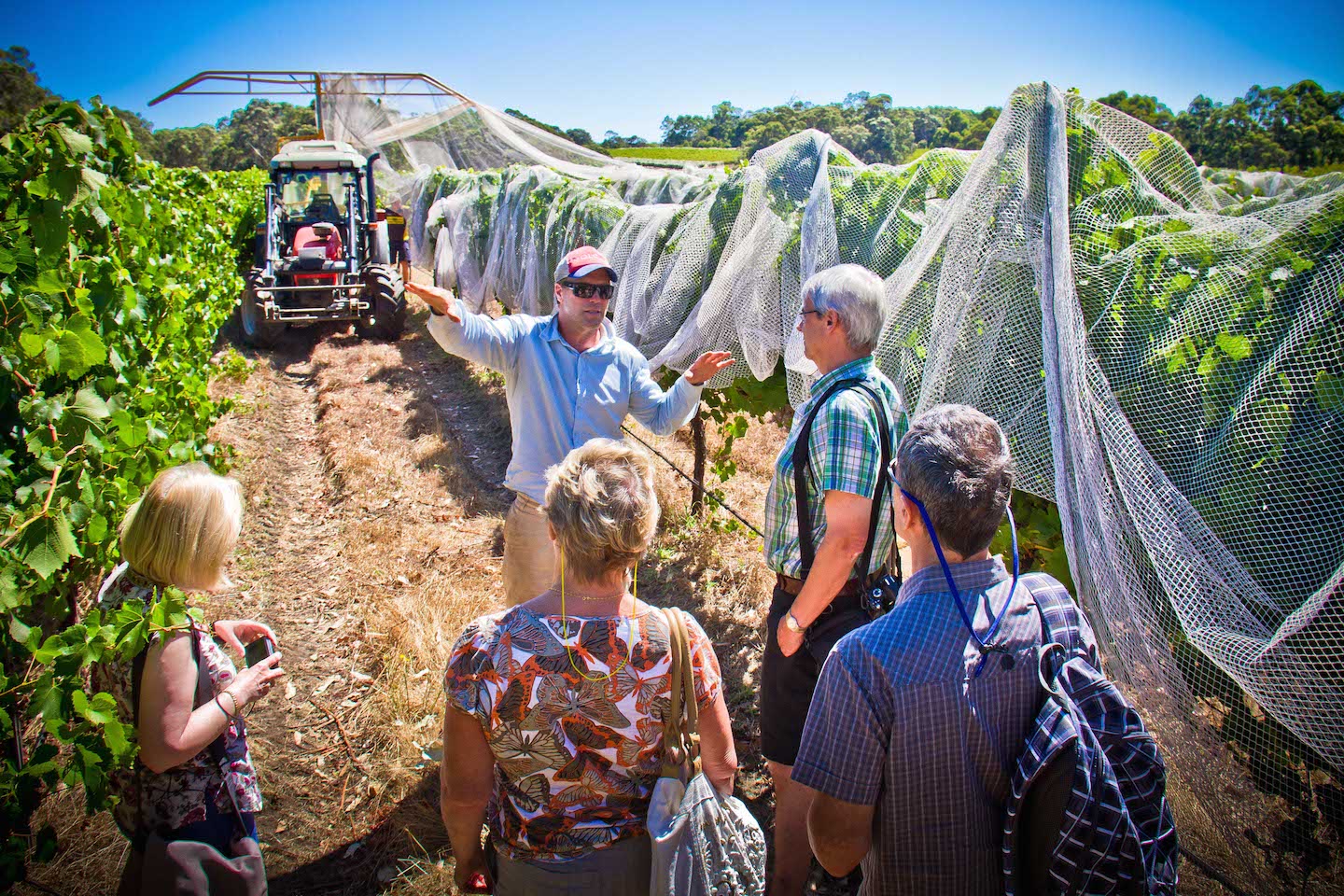 Behind the scenes in a Margaret River vineyards on the Best of the Best Wine Tour with Margaret River Discovery Co