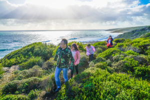 Margaret River Private Family tours